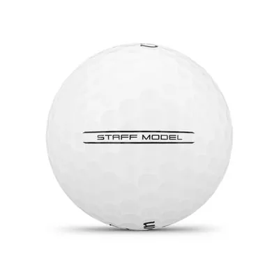 Staff Model